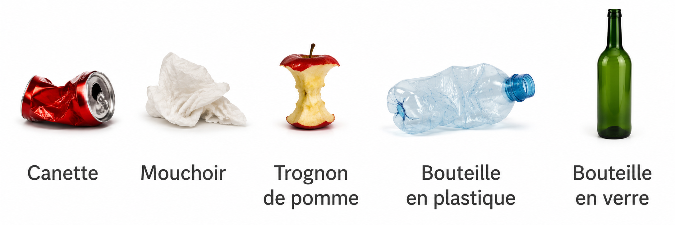 Déchets en forêt 1