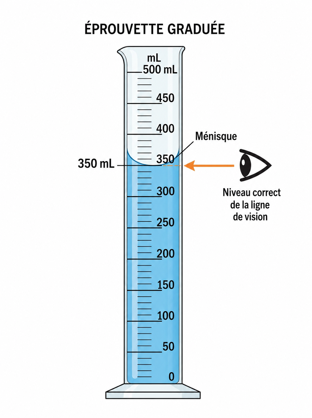 Éprouvette graduée et mesure avec le ménisque